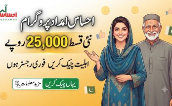 https://storiescastle.com/ehsaas-imdad-programme