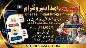 https://storiescastle.com/ehsaas-imdad-programme