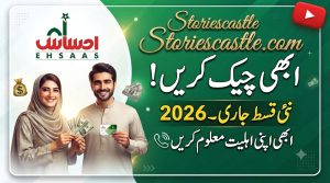 https://storiescastle.com/ehsaas-imdad-programme